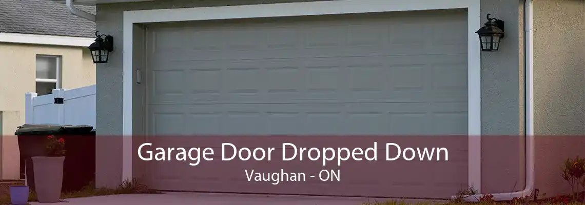 Garage Door Dropped Down Vaughan - ON