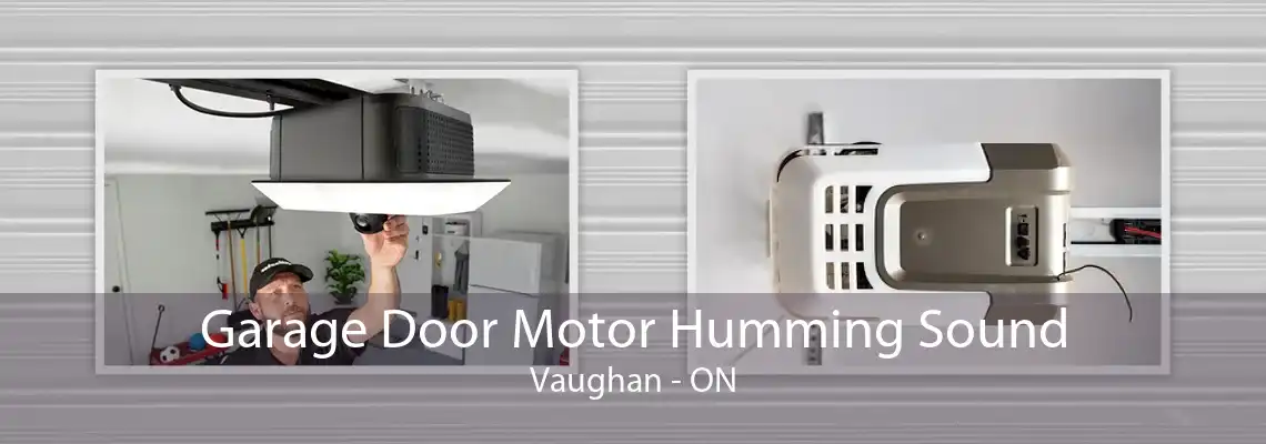 Garage Door Motor Humming Sound Vaughan - ON