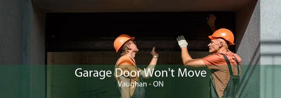 Garage Door Won't Move Vaughan - ON