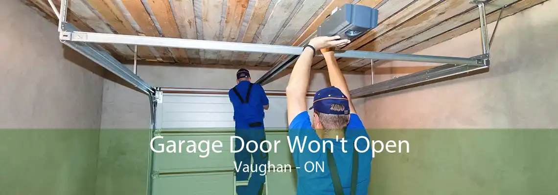 Garage Door Won't Open Vaughan - ON